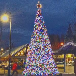 Bundle for @eldoradoco